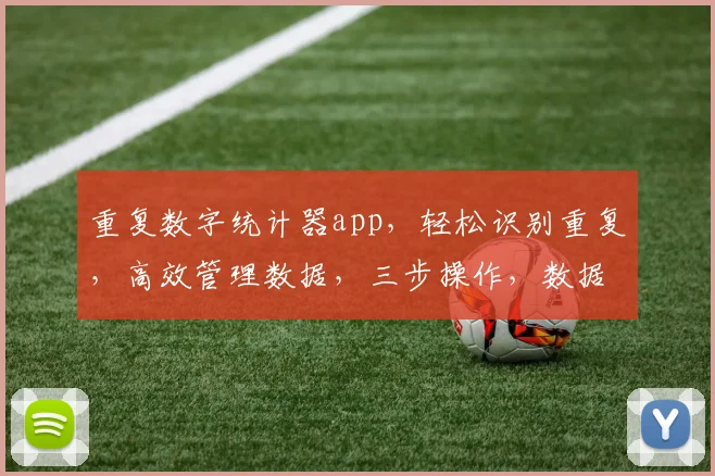 重复数字统计器app，轻松识别重复，高效管理数据，三步操作，数据清晰，必备工具，三重惊喜等你来
